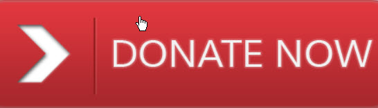 donate now red